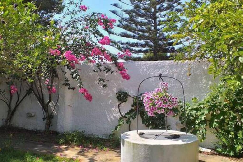 Villa Mozia Riserva Dello Stagnone 马尔萨拉 外观 照片